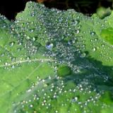 0510G 15 BKarlshafen-Hameln